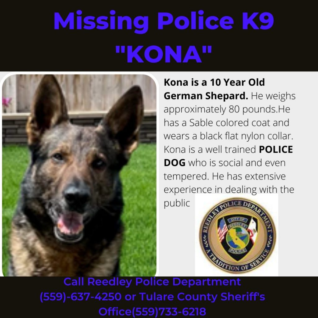 Police K9 found dead after escaping on the 4th of July
