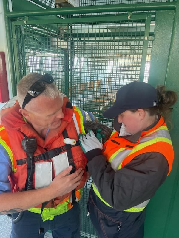 Ferry workers rescued a kitten from the water