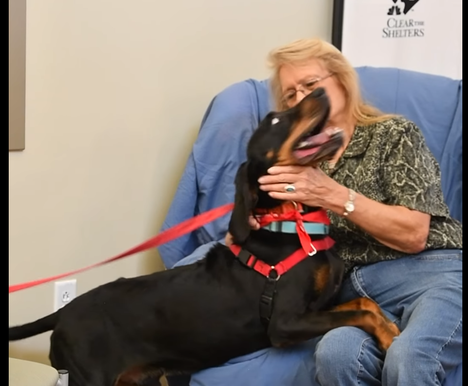 Ice finally has a home of his own after 638 days at the shelter