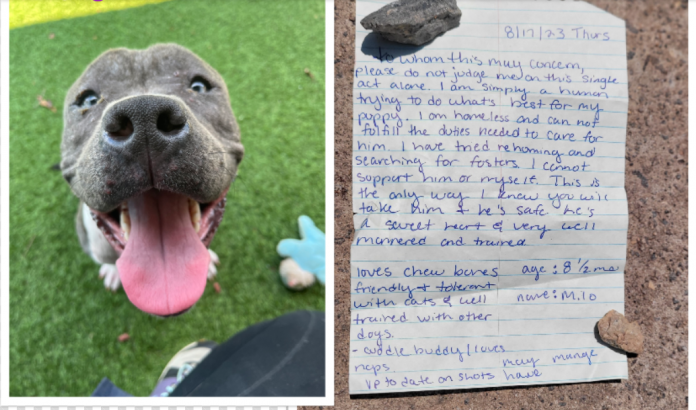 Shelter pens letter to homeless person who abandoned their dog with a sad note