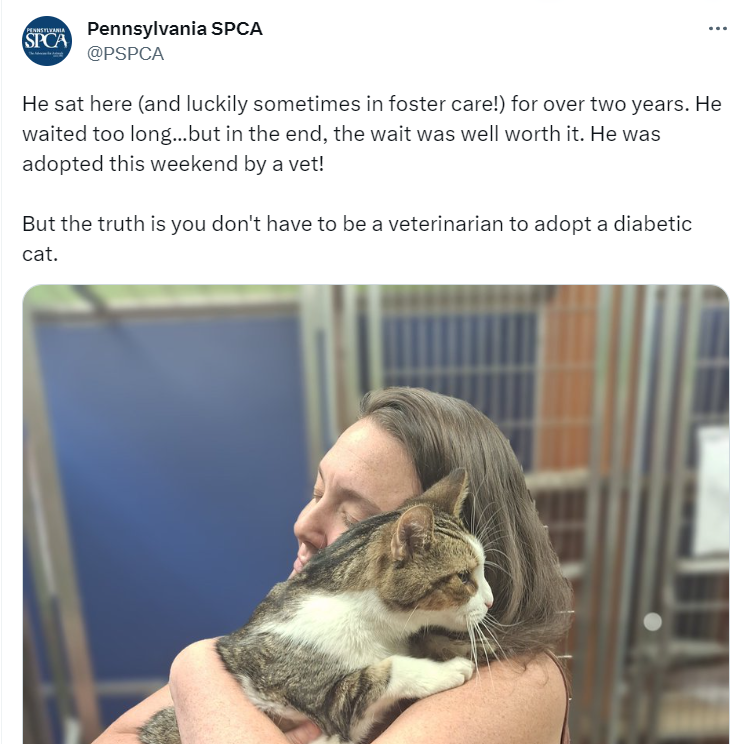 Tim was finally adopted after nearly 800 days