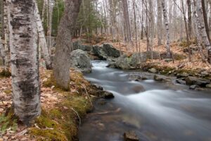 Stock image of a creek