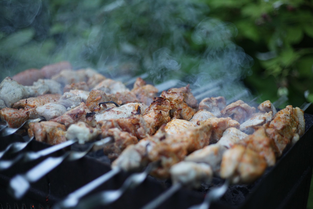 Free Shish Kebab Summer photo and picture