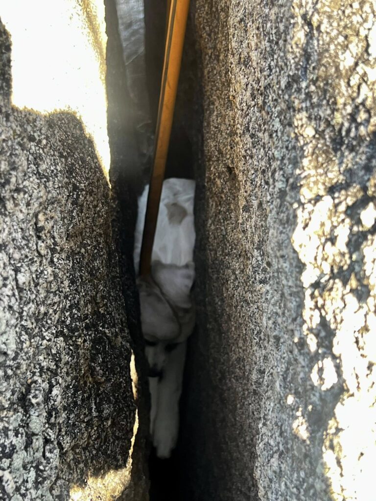 Firefighters Save Puppy Hopelessly Trapped Between Boulders