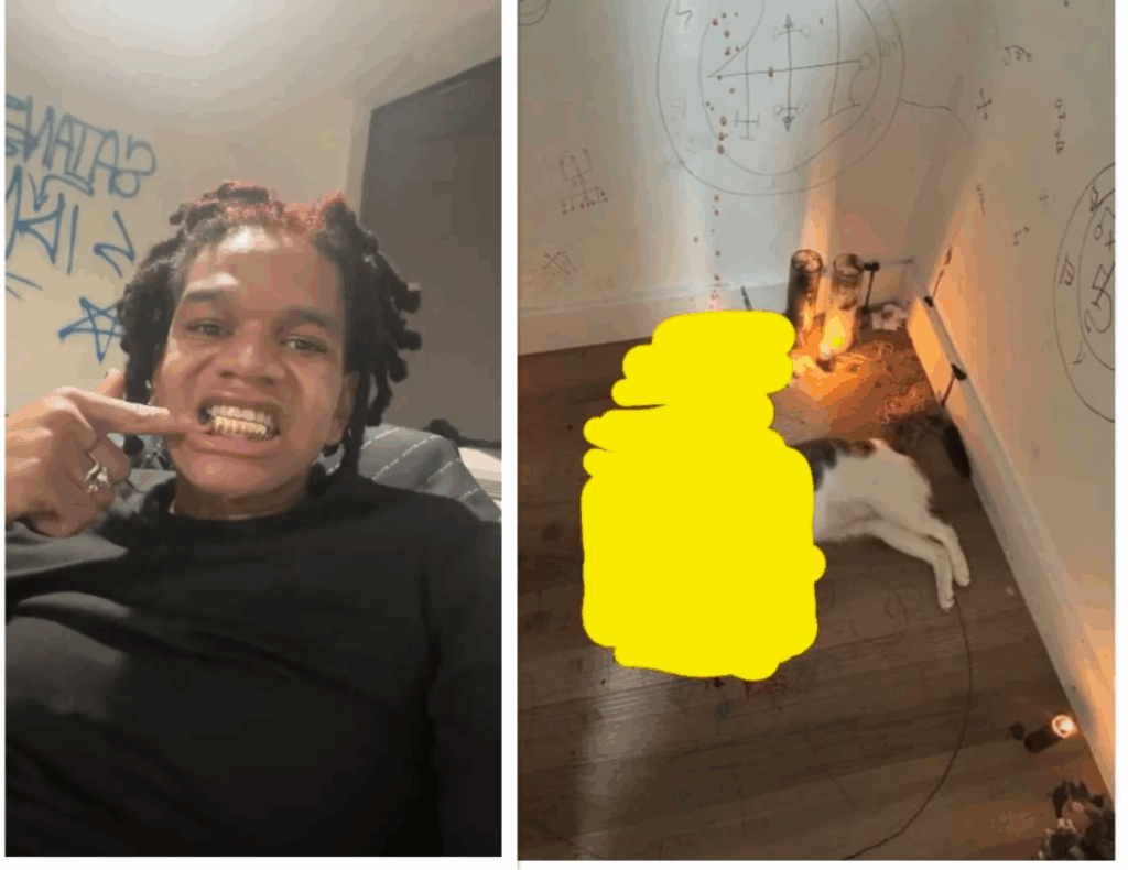 Bronx Rapper Arrested After Violent Killing of Cat in ‘Ritualistic’ Sacrifice