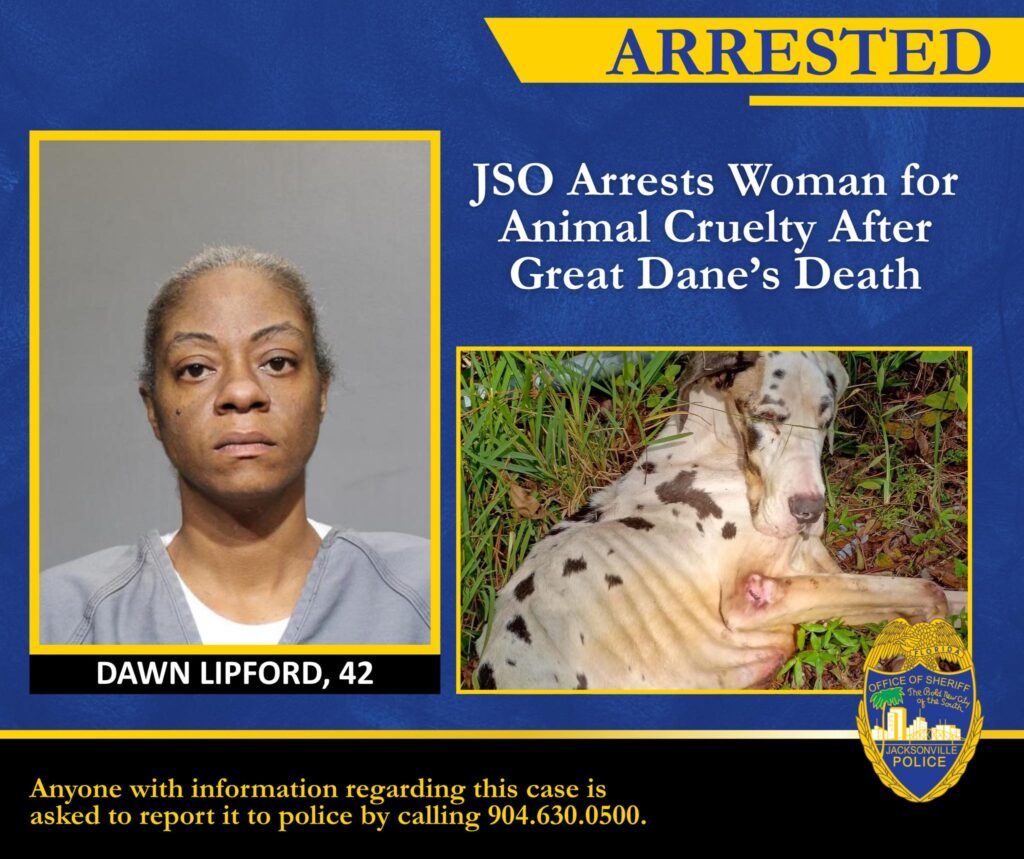 Woman Arrested After Great Dane’s Cruel Death