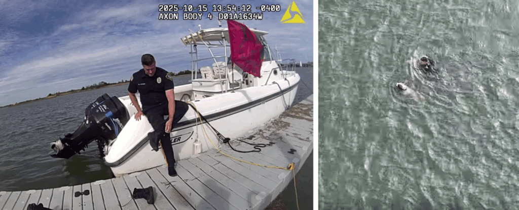 Hero Officer Jumps in Cold Water to Save Injured Dog Struggling in Bay