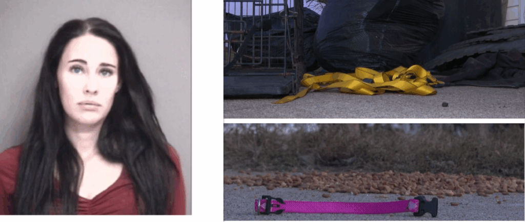 ‘Reputable’ Breeder Facing Multiple Cruelty Charges Following Discovery of Dead and Malnourished Dogs