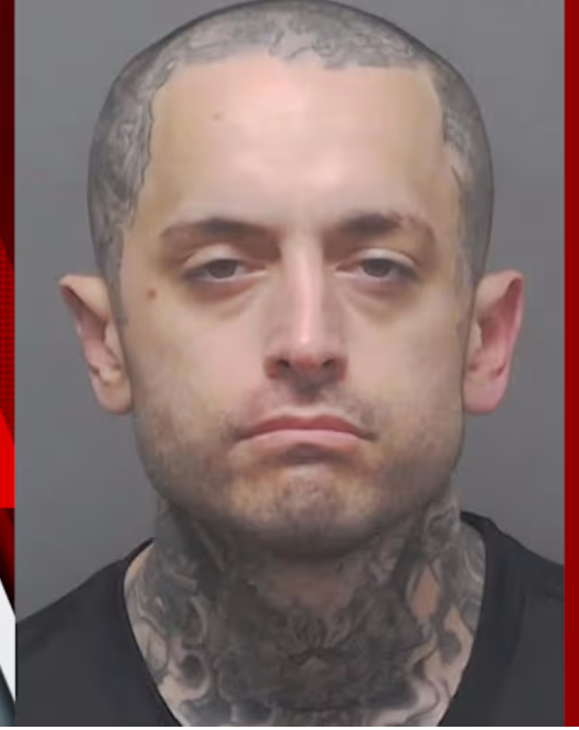 Police Arrest Man Accused of Strangling Kitten to Death