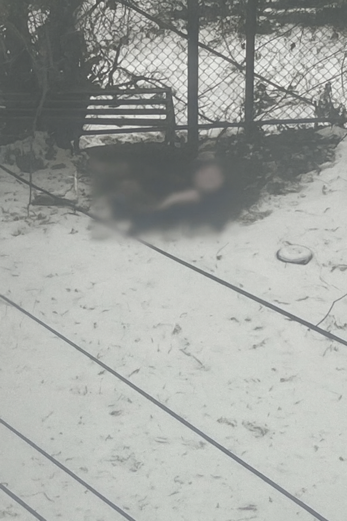 Dog Found Frozen to Death in Detroit Yard