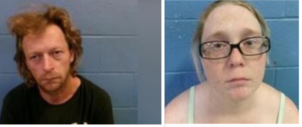 No Jail Time for Man Found with 24 Dead Cats in Freezer