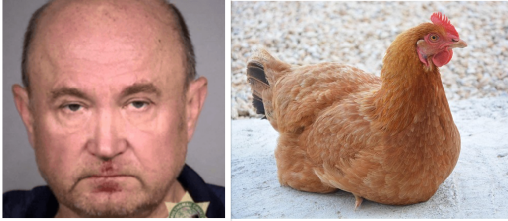 Oregon Man Accused of Child Sexual Abuse Now Facing Charges for Sexually Assaulting Chickens