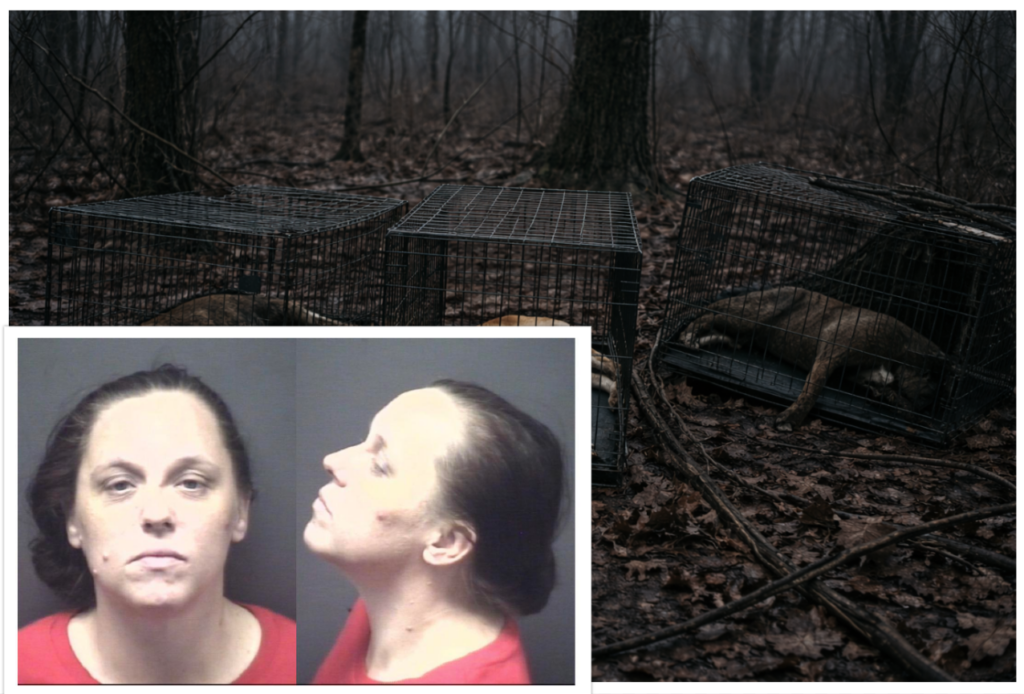Woman Arrested After Dead, Caged Dogs Found Abandoned in Woods