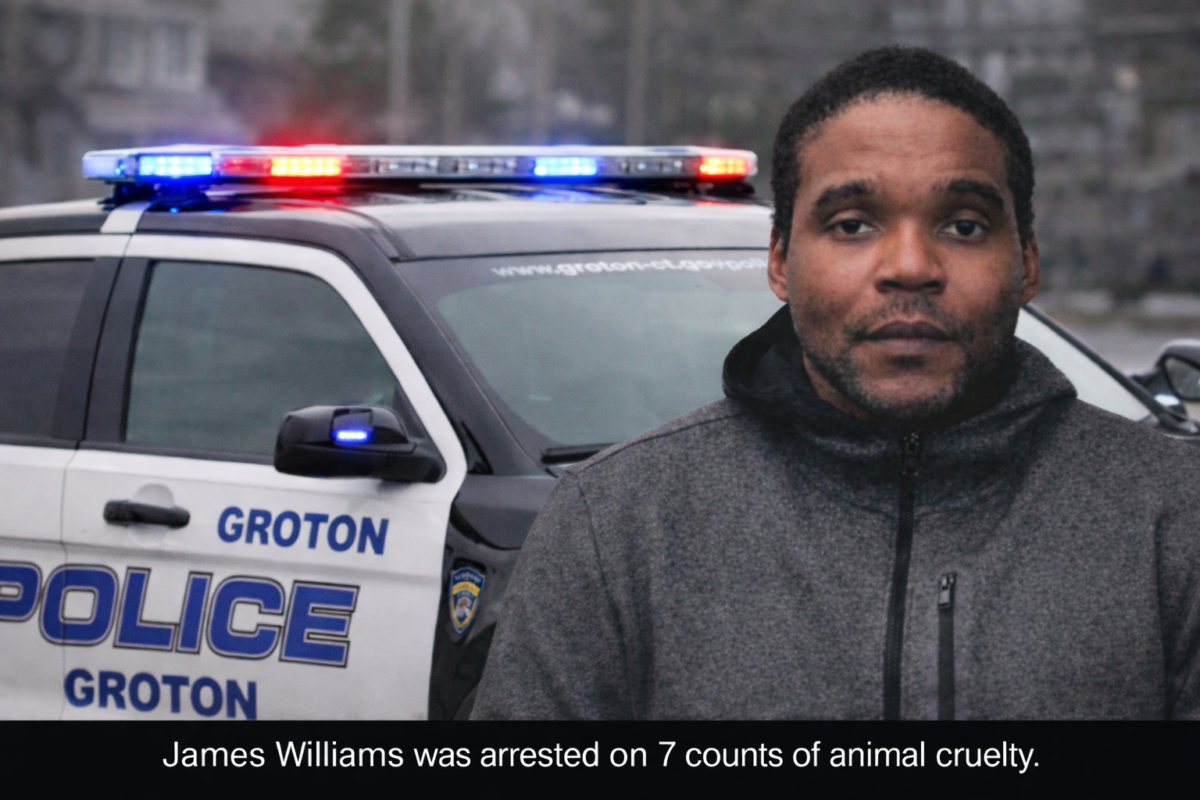 Man Arrested Following Discovery Of Beaten Woman and Dead Puppies in U ...