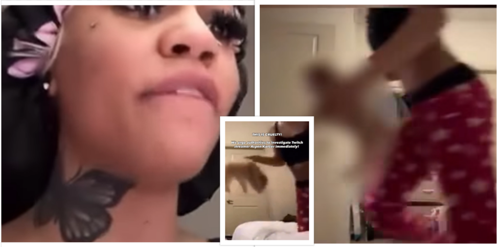 Woman Arrested After Puppy Abuse Captured on Livestream