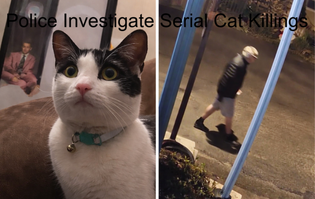 Police Investigate Suspected Serial Cat Killer in California