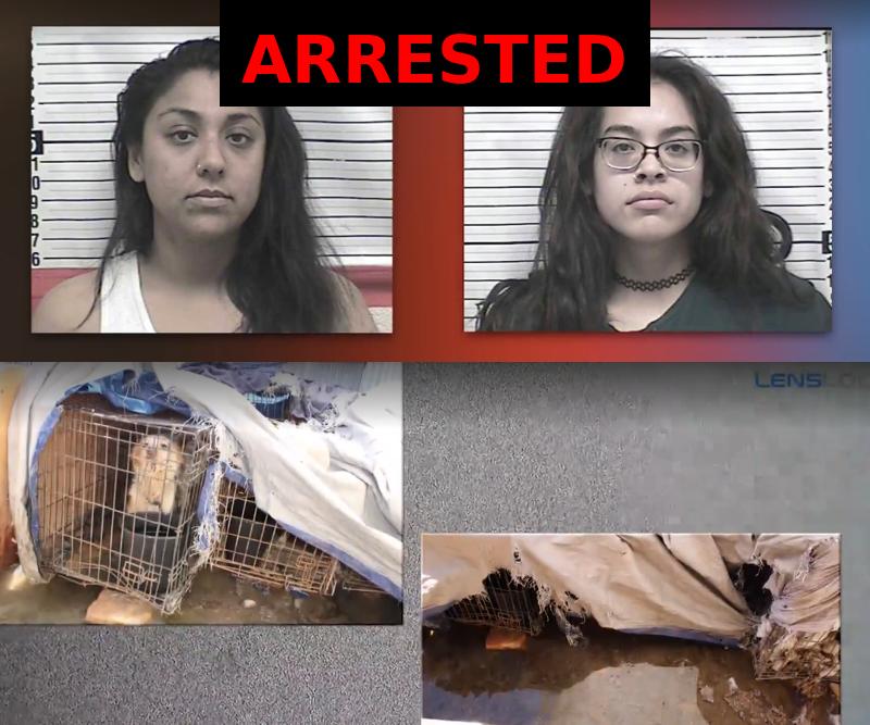 Women Faces Multiple Counts of Extreme Animal Cruelty Following Horrific Conditions At Home