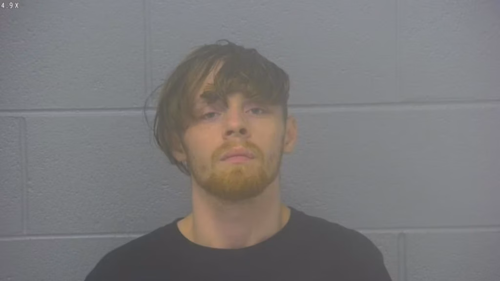 Man Set Fire To Shed, Killing Girlfriend’s 10 Cats