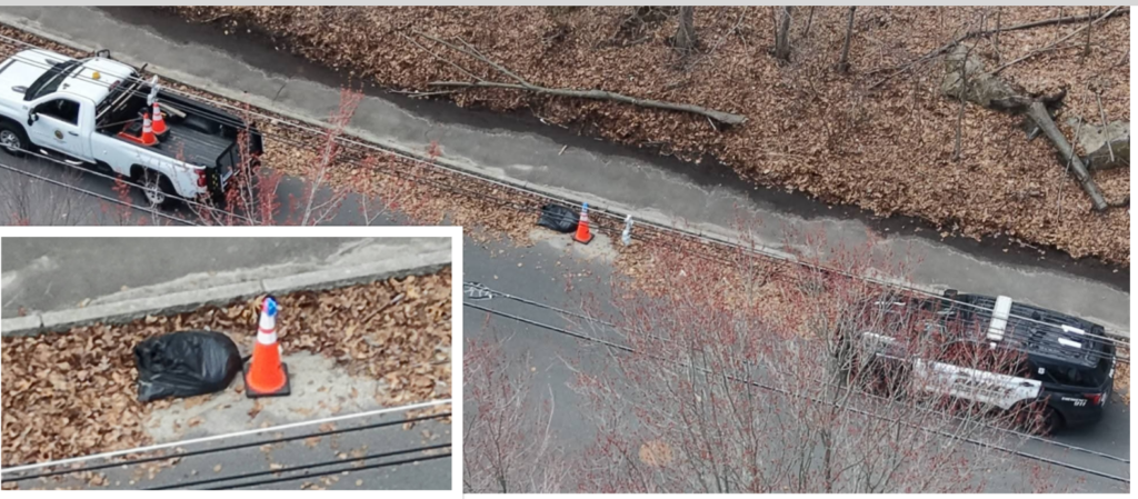 Investigation Opened Following Discovery of Bagged Dog Remains