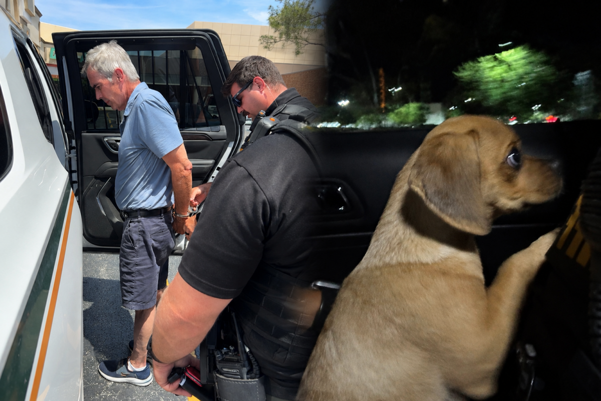 Florida Man Arrested and Charged for Strangling Puppy, Exposing Pup to ...