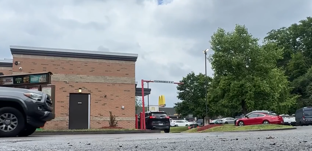 Nashville Woman Facing Charges After Dead Dog Found in Parked Car