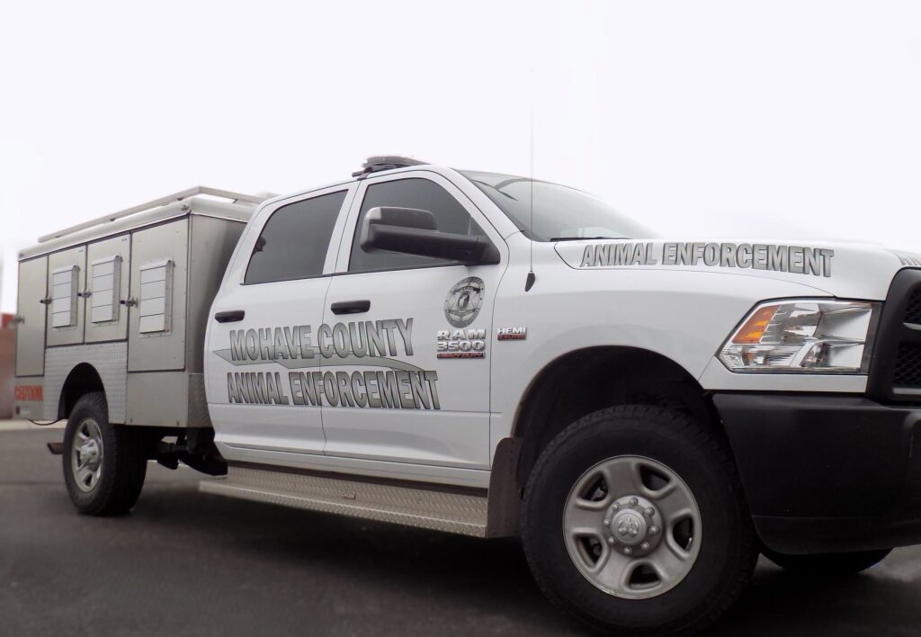 Man Charged with 22 Counts of Animal Cruelty After Caged Cats and Rattlesnakes Found in Hot Truck