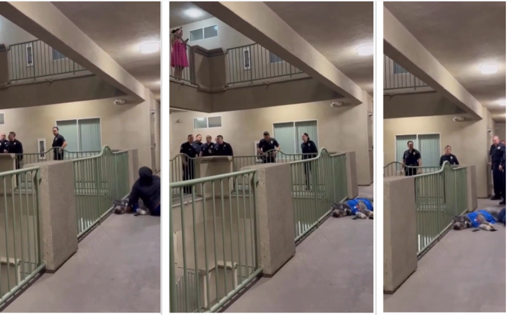 Police Kill Woman’s Dog as She Celebrates Knicks Victory