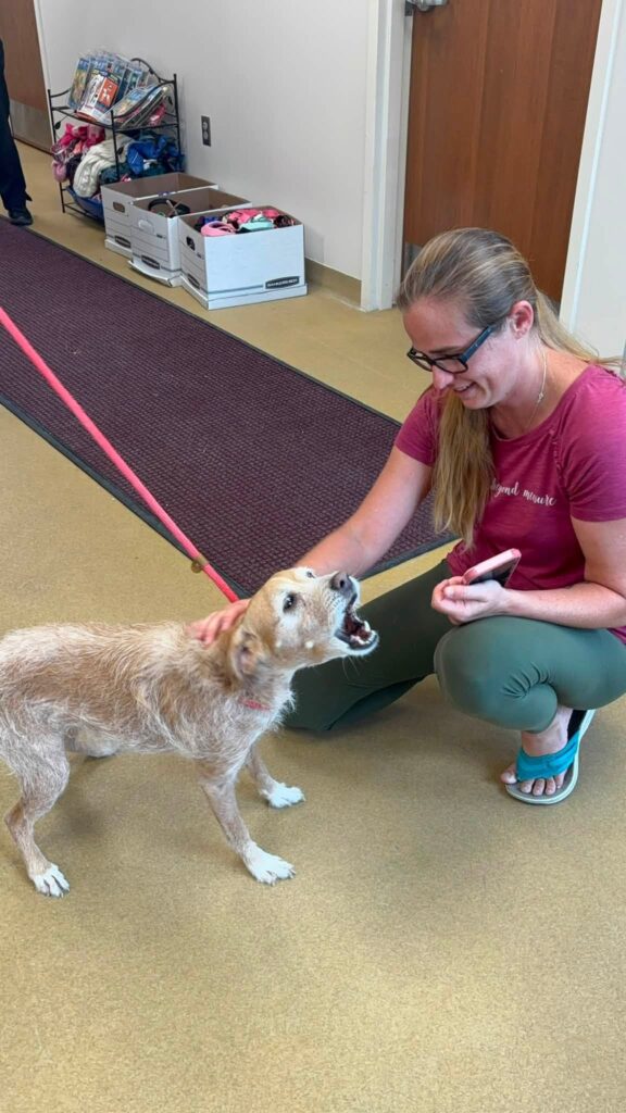 Tears As Owner is Reunited With Dog Who Was Missing for Five Years