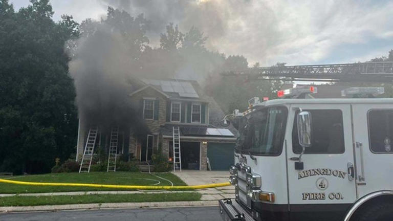 Pets Die in House Fire Caused by Counter Surfing Dog