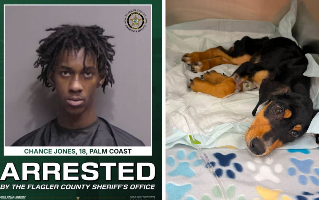 Puppy Died After Man Fed Her ‘Every Few Weeks’ in Detached Garage