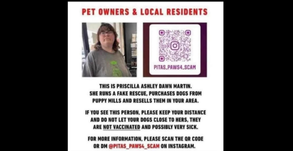 Fake Rescuer Facing Felony Cruelty Charges After Dogs Die in Her Care