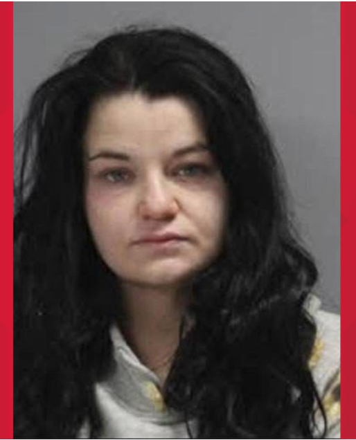 Woman Sentenced to Jail After 130+ Dead Dogs Found on Texas Property
