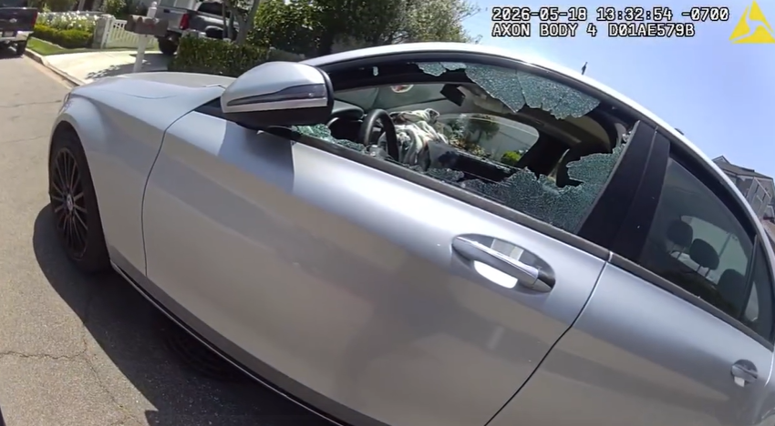 Officer Breaks Car Window to Rescue Dogs Trapped Inside