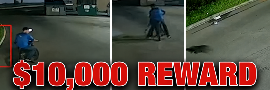 $10,000 Reward Offered to Identify Florida Serial Cat Killer