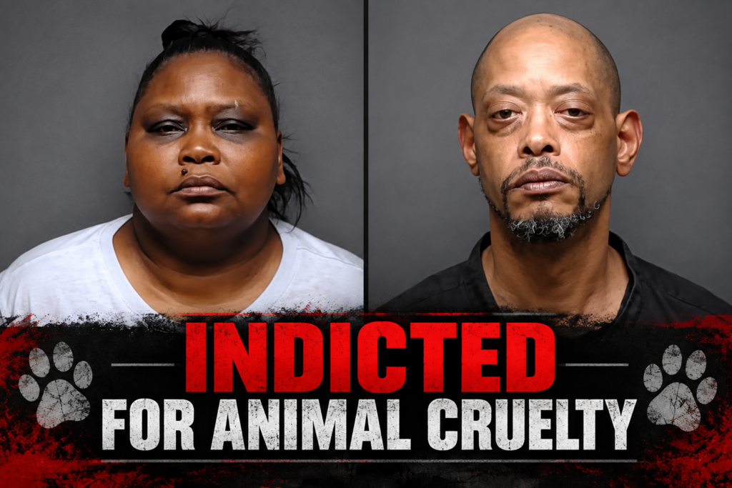 Henrico Duo Indicted on 40 Counts of Animal Cruelty