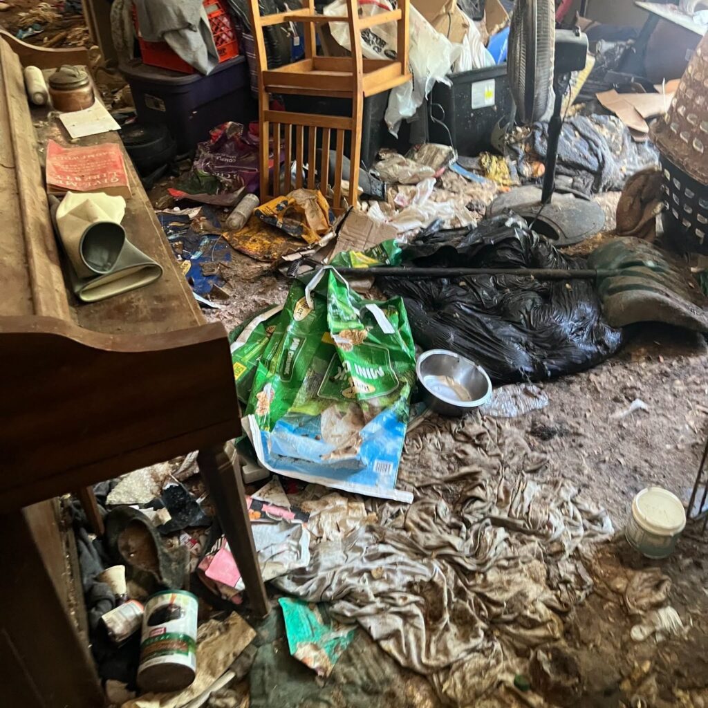 11 Dogs Rescued from Shockingly Deplorable Conditions