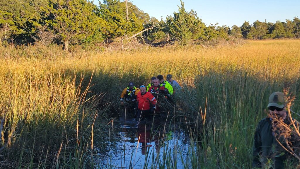 Heartbreaking Outcome for Three Stranded Dolphins