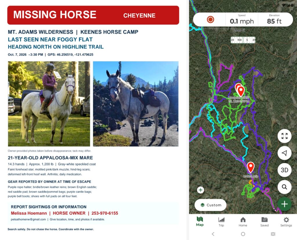 Woman’s Horse Lost in Mt. Adams Wilderness for Three Weeks